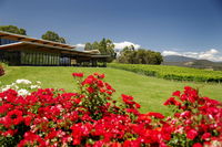 Book Yarra Glen Accommodation Vacations Accommodation Daintree Accommodation Daintree