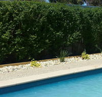 Robinvale Bridge Motel - Accommodation Daintree