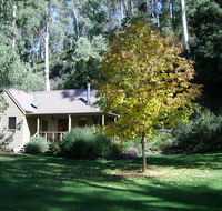 shady brook cottages - Accommodation Daintree
