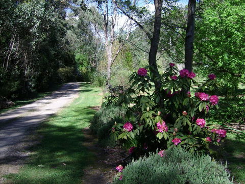 Shady Brook Cottages - Accommodation Daintree 15