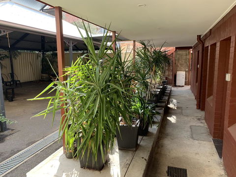 CROWN CENTRAL BUSINESS DISTRICT MOTEL - NO UNDER 18s - Accommodation Daintree 6