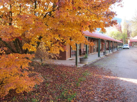 The Harrietville Snowline Hotel - Accommodation Daintree 21
