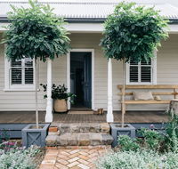 Acre of Roses - Accommodation Daintree