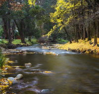 Goldfield Holiday Units - Accommodation Daintree