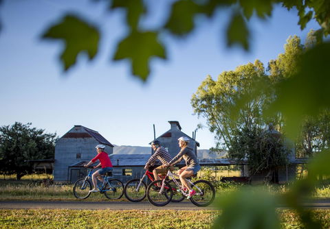 Goldfield Holiday Units - Accommodation Daintree 32