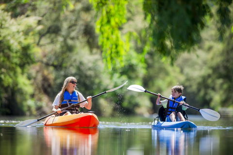 Goldfield Holiday Units - Accommodation Daintree 36