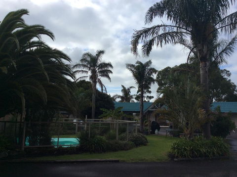 Tropicana Motor Inn - Accommodation Daintree 37