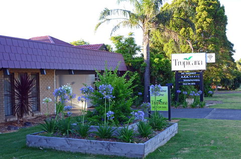 Tropicana Motor Inn - Accommodation Daintree 10
