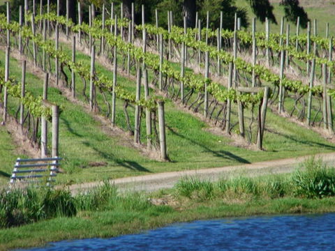 De\'Vine Escape - Accommodation Daintree 13