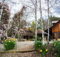 Lothlorien - Accommodation Daintree