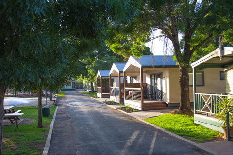All Seasons Mildura Holiday Park - Accommodation Daintree 10