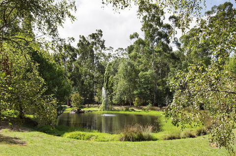 Nightcap At York On Lilydale - Accommodation Daintree 34