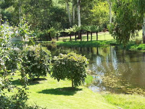 Nightcap At York On Lilydale - Accommodation Daintree 36