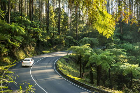 Lithgow Falls Marysville - Accommodation Daintree 15