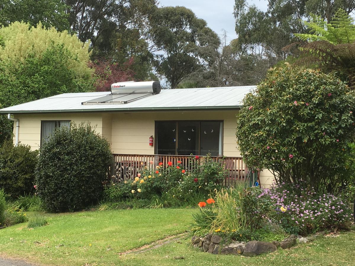 Delburn VIC Accommodation Daintree