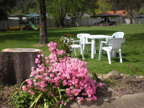 Willow Dene Holiday Apartments - Accommodation Daintree 24