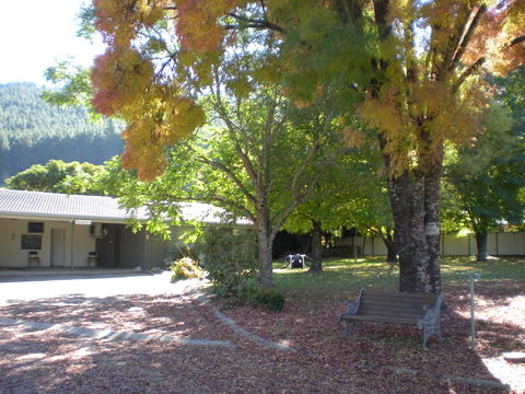 Willow Dene Holiday Apartments - Accommodation Daintree 8