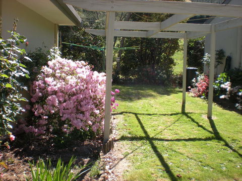Willow Dene Holiday Apartments - Accommodation Daintree 25