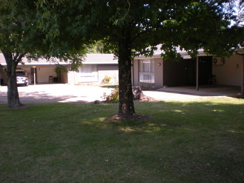 Willow Dene Holiday Apartments - Accommodation Daintree 11