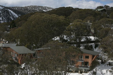 Maisonettes Falls Creek - Accommodation Daintree 14