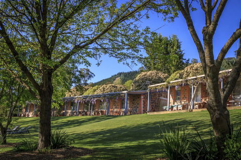 Bright Mystic Valley - Accommodation Daintree 18
