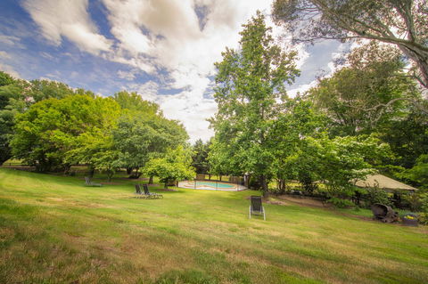 Bright Mystic Valley - Accommodation Daintree 2
