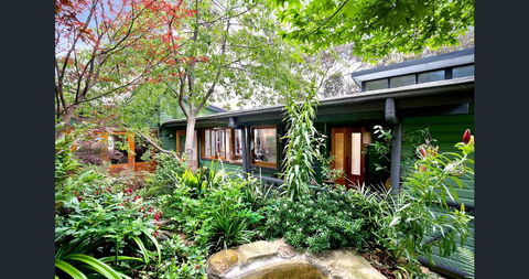 The Black Cockatoo - Secret Garden Mountains Home - Accommodation Daintree 0
