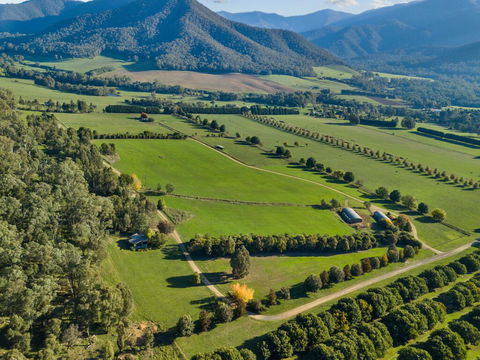 The Buckland Studios - Accommodation Daintree 3
