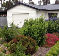 The Cosy Cottage - Accommodation Daintree
