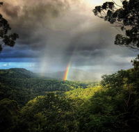 The Den of the Treehouse KINABALU Farm - Accommodation Daintree