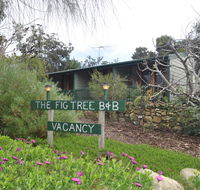 The Fig Tree BB - Accommodation Daintree