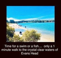 The Lazy Llama - Accommodation Daintree