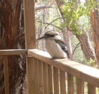 The Ledge Holiday House - Accommodation Daintree
