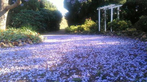 The Old Church Bed And Breakfast - Accommodation Daintree 2