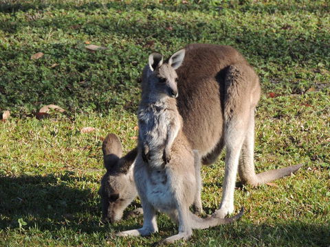 The Pouch B & B - Accommodation Daintree 2