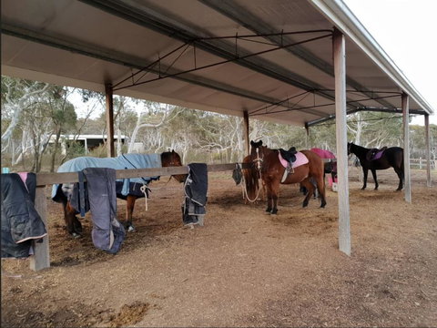 The Saddle Camp Tiny House, Braidwood - Accommodation Daintree 1