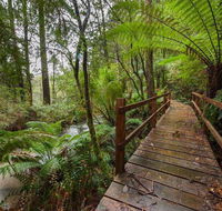 The Source Otways - Accommodation Daintree