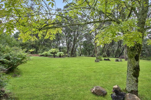 THE TEACHERS COTTAGE - Accommodation Daintree 1