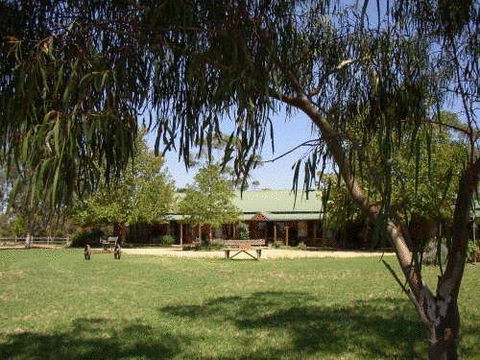 The Vineyard Motel - Accommodation Daintree 0