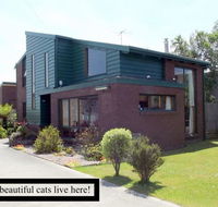 Trails End - Accommodation Daintree