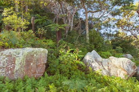 Treehouse Palm Beach - Accommodation Daintree 2