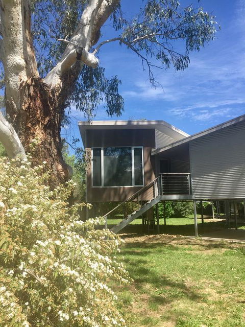 Treehouse Retreat - Accommodation Daintree 3