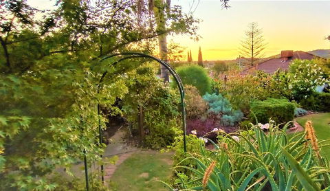 Treetops Escape - Accommodation Daintree 1