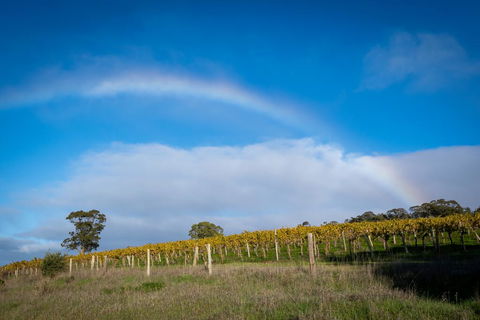Triple Creek Guest House - Barossa Region - Accommodation Daintree 2