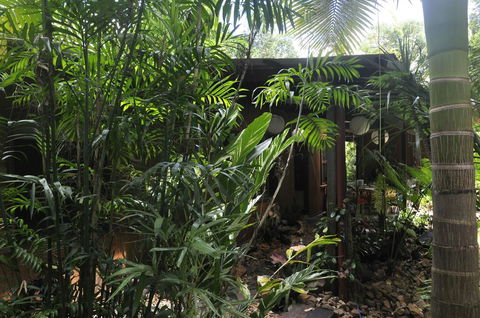 Tropical Bliss Bed And Breakfast - Accommodation Daintree 2