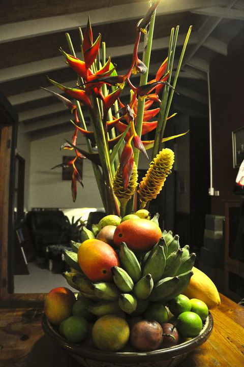 Tropical Bliss Bed And Breakfast - Accommodation Daintree 3