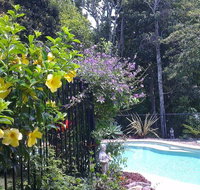 Tropical Coast Retreat - Pet Friendly - Accommodation Daintree