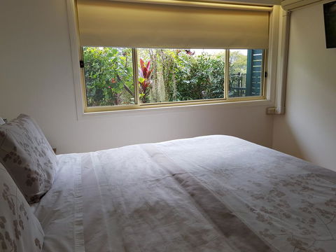 Tropical Coast Retreat - Pet Friendly - Accommodation Daintree 3