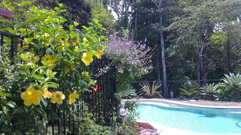 Tropical Coast Retreat - Pet Friendly - Accommodation Daintree 0