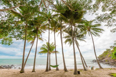 Turtle Cove Beach Resort - Adults Only LGBTQIA & Allies - Accommodation Daintree 3